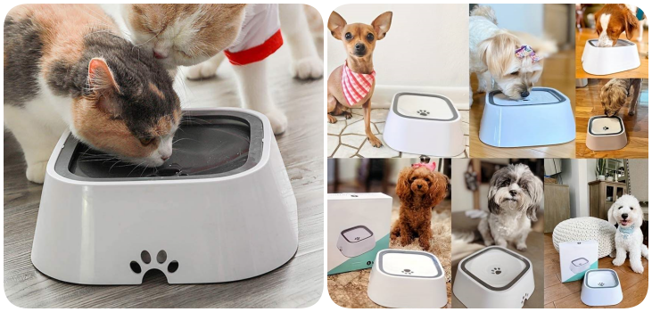 Pawstruck Anti-Spill Pet Bowl collage of many pets