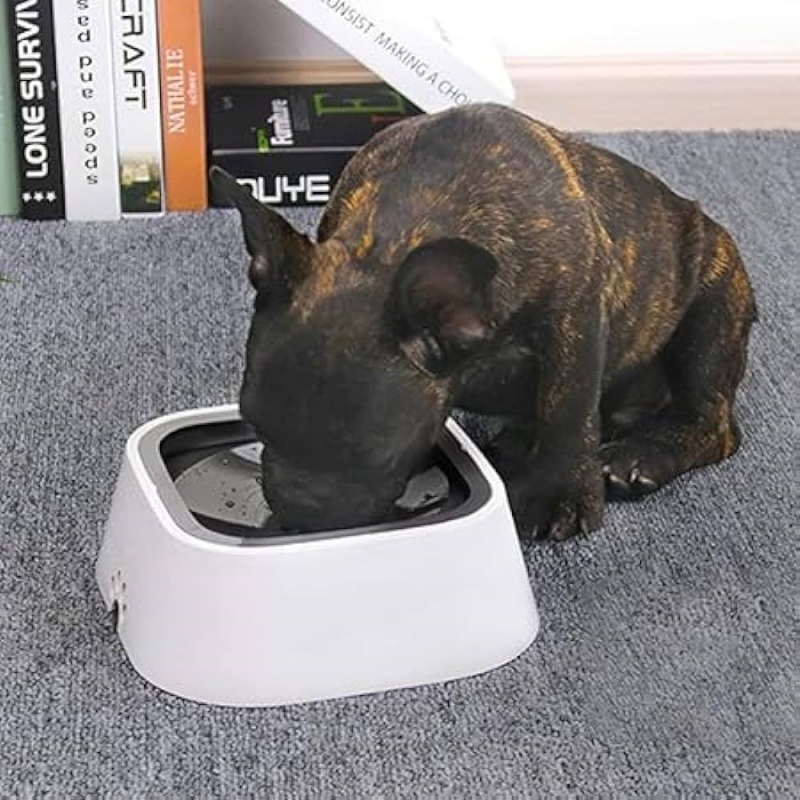 dog drinking from Pawstruck Anti-Spill Pet Bowl