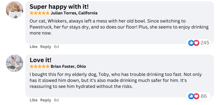 Pawstruck Anti-Spill Pet Bowl real testimonials